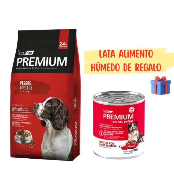 Producto - VITAL CAN PREMIUM Adulto x 20 kg + LATA WET DE REGALO