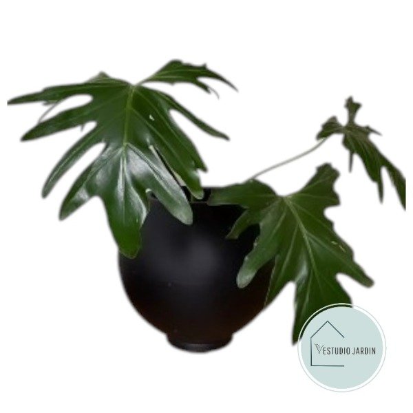Producto - Maceta Esfera Rotomoldeada