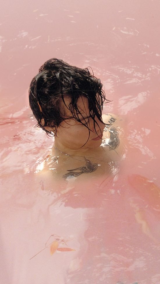 harry (Harry Styles)