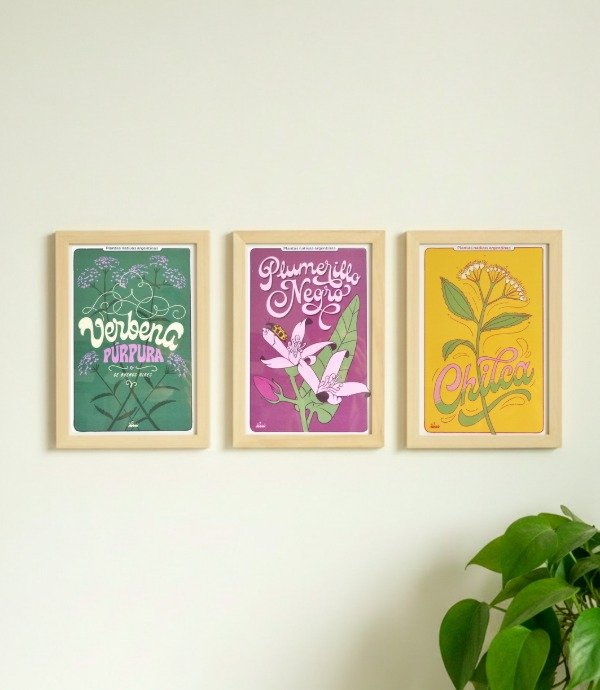 Producto - Tríptico Verbena-Plumerillo-Chilca