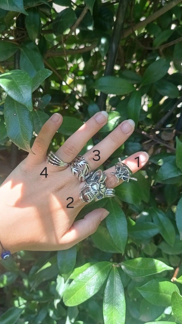Producto - Mix Anillos 17