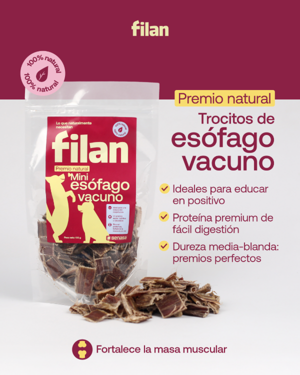 Producto - Mini esofago vacuno
