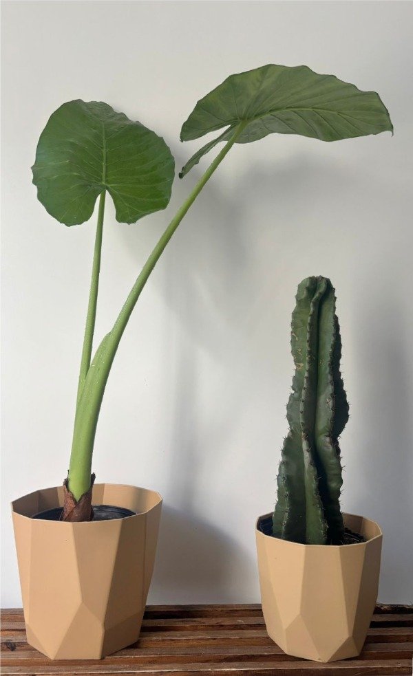 Producto - Maceta Facetada