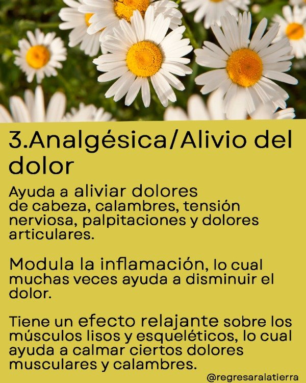 Miniatura de producto - 10