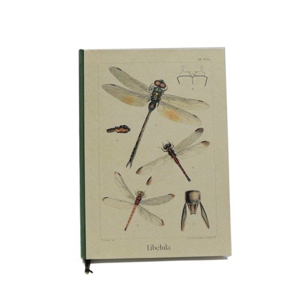 Producto - HUELLA - 10