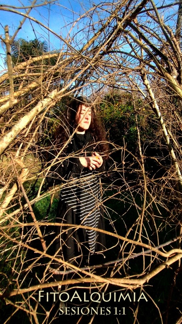 Producto - Sesiones 1:1 - FitoAlquimia