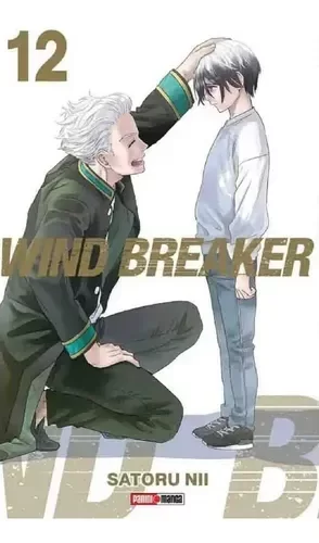 Producto - Wind Breaker 12 PANINI