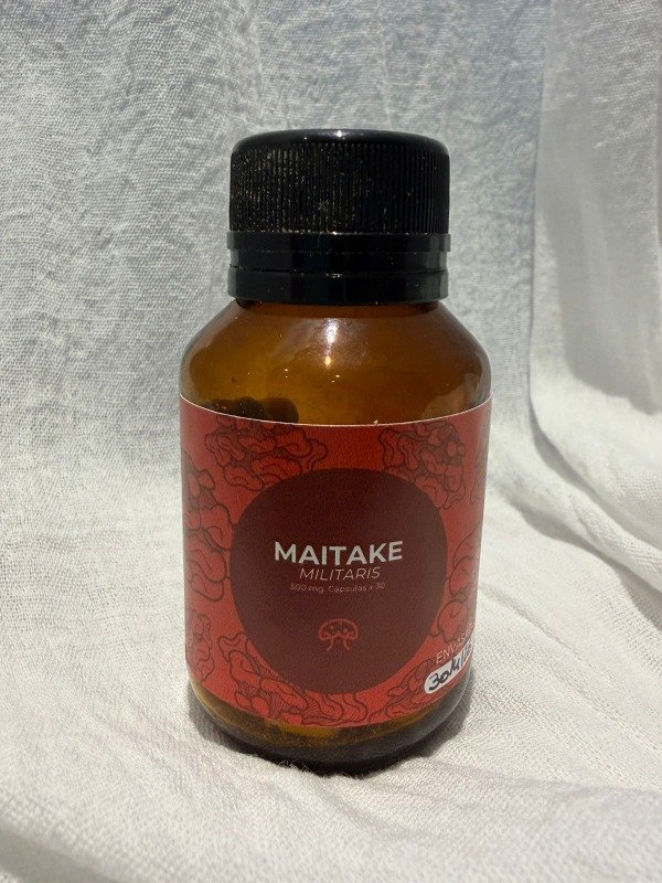 Producto - Maitake, capsula 500mg x 3o