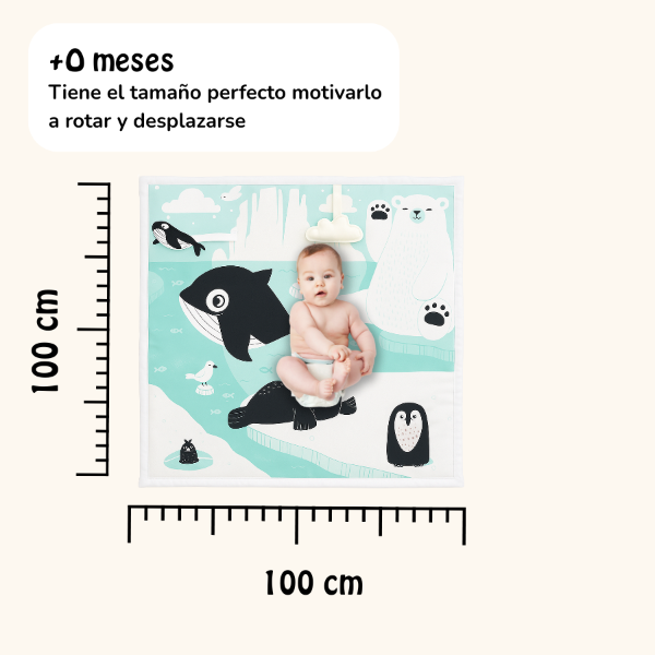 Producto - Playmat Sensorial Contrastes - 3