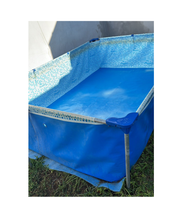 Producto - Pelopincho 1055	/ 200x300