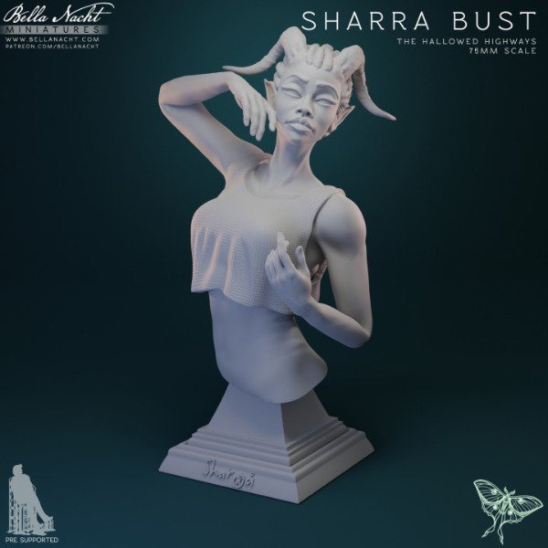 Producto - Sharra Busto