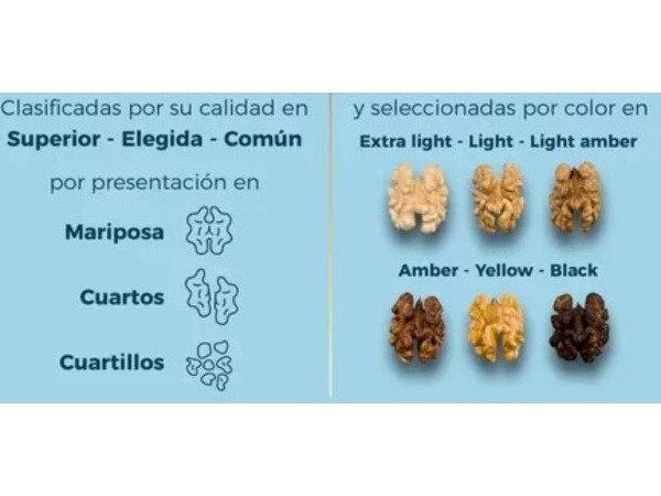 Producto - Nuez pelada - Extra Light Cuartillos