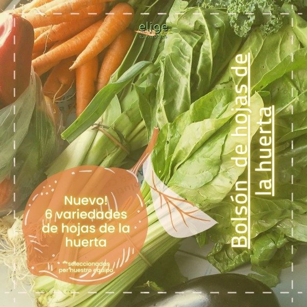 Producto - Bolsón hojas de la Huerta - Nuevo!