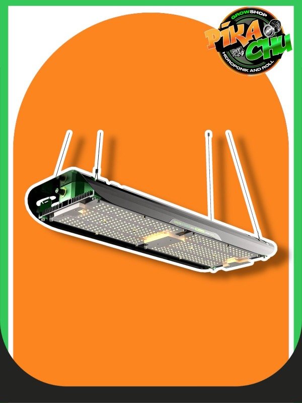 Producto - GREEN POWER GP240w