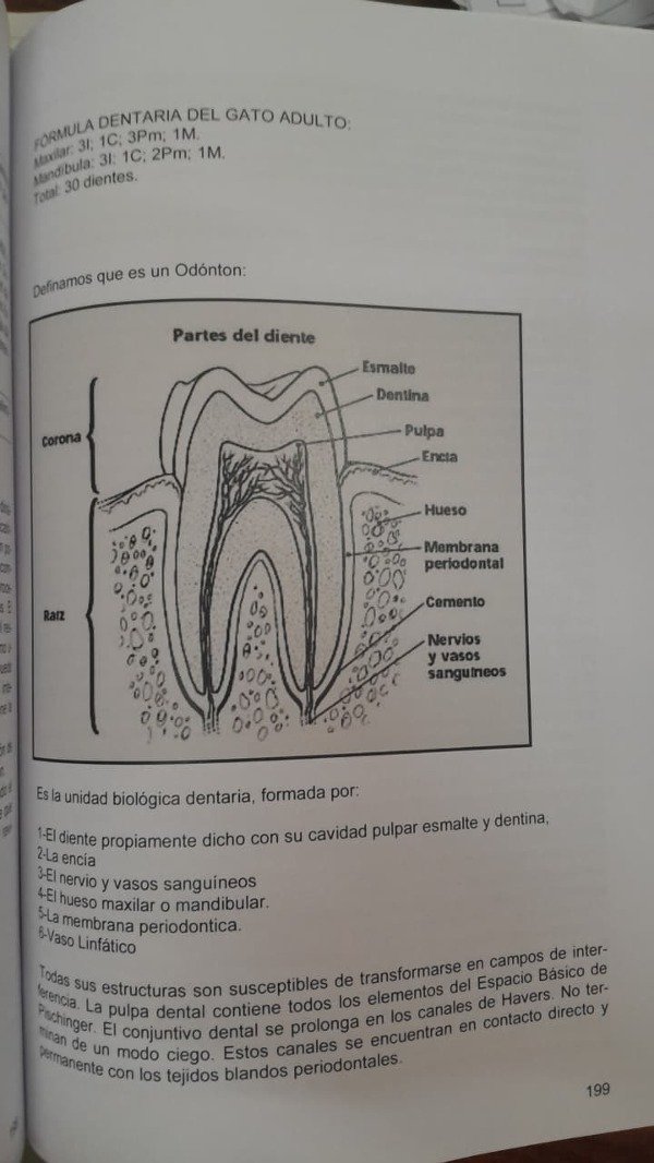 Producto - Castro: Bases para la Terapia Neural en Caninos y Felinos - 3