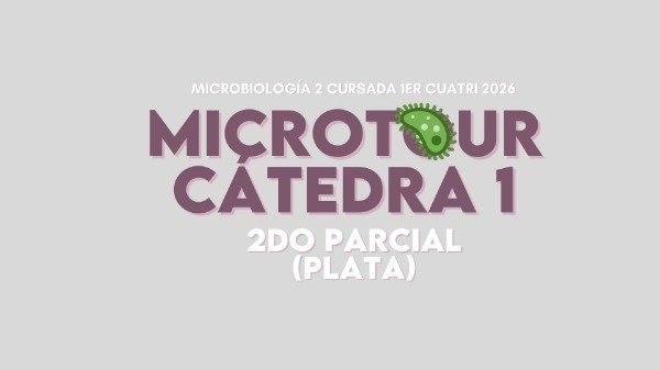Producto - MICRO 2 CÁTEDRA 1 PLATA (2DO PARCIAL)
