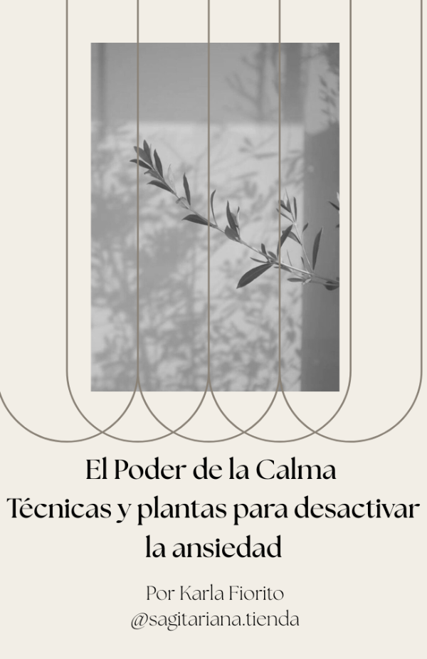 Producto - E-book "El poder de la calma"