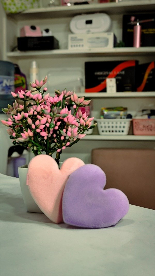 Producto - Esponja corazón