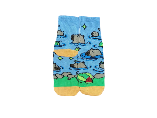 Producto - Capi en el agua