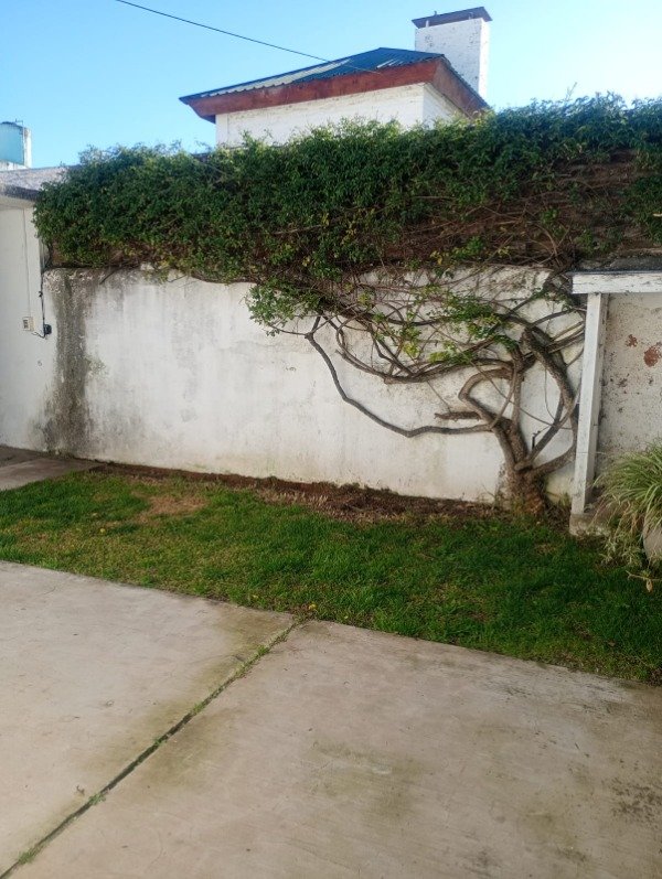 Producto - CASA EN ALQUILER SOBRE CALLE NECOCHEA 136 - 11