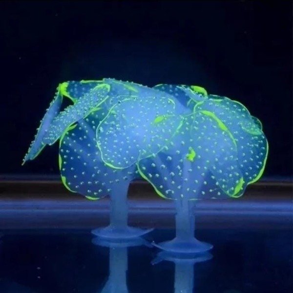 Producto - FLYING CORAL C/SOPAPA X2 #SH001/2 ACUARIO #13207