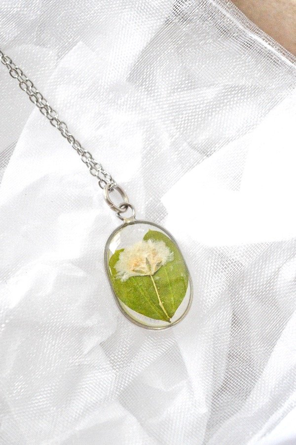 Producto - Bosquecito II