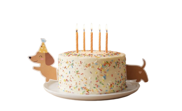 Producto - Perro Salchicha Cake Topper Salchi Atravezando Torta - 0