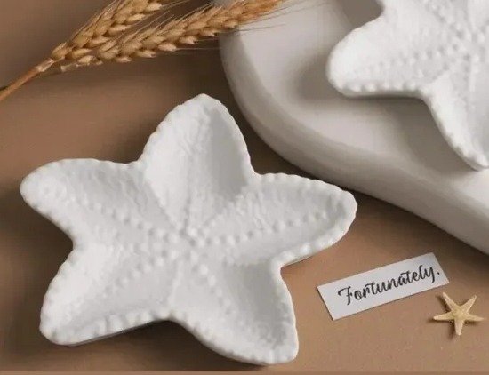 Producto - Bandejas estrella de mar