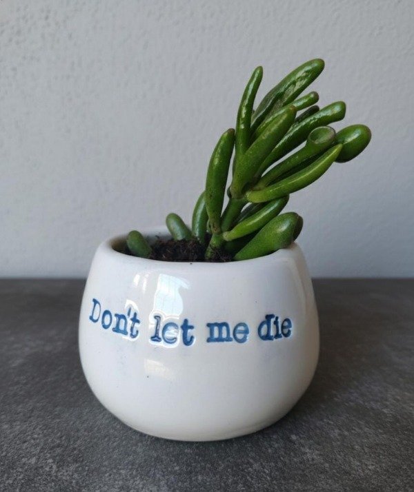 Producto - Macetitas cerámica pequeñas