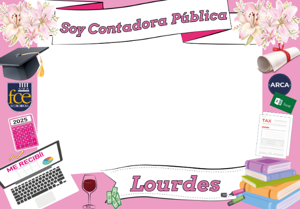 Producto - Contadora Pública 010