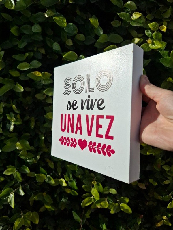 Producto - Vinilo Solo se vive una vez - 0