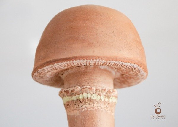 Producto - Autoriego Cerámico "Fungi" - Pieza de Autor