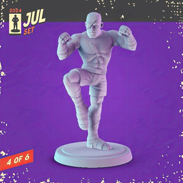 Producto - Sagat - Street Fighter