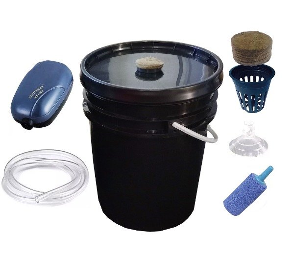 Producto - Hidroponia balde 20L listo para cultivo