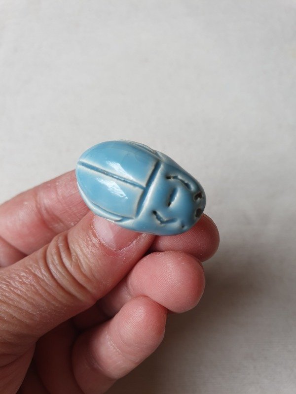 Producto - LUCERO Broche Escarabajo del Cielo - 1