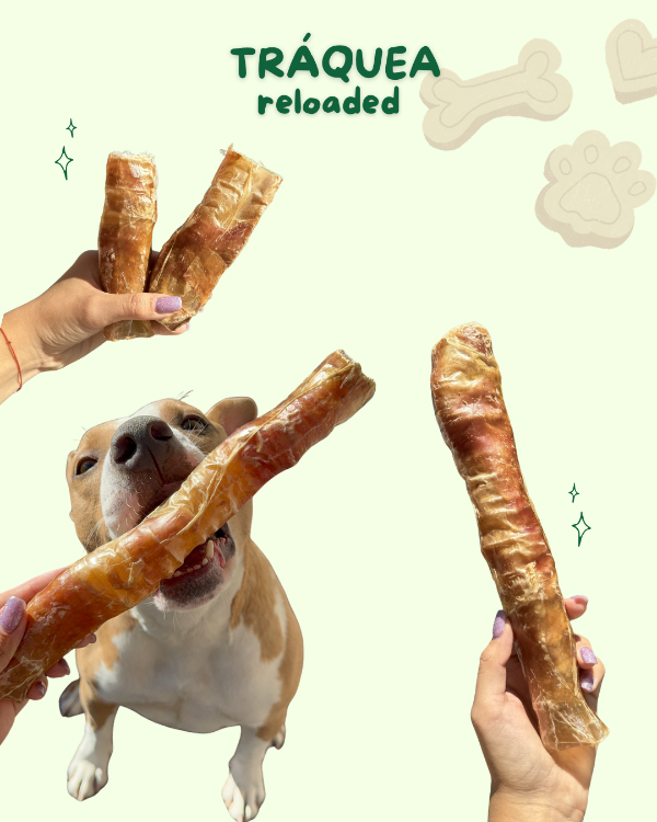 Producto - TRÁQUEA reloaded - 0