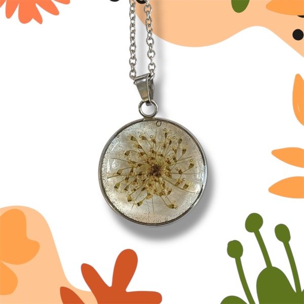 Producto - Zanahoria silvestre - Acero 2.5cm