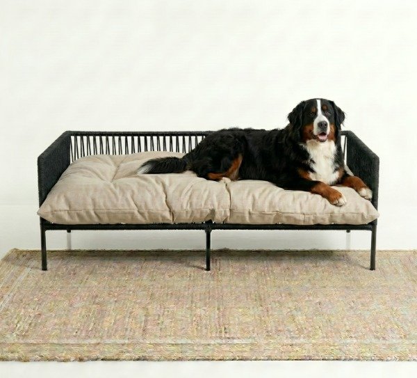 Producto - Sofá Pet