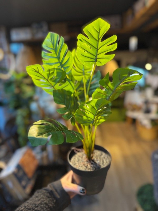 Producto - Planta artificial costilla de adan 40 cm