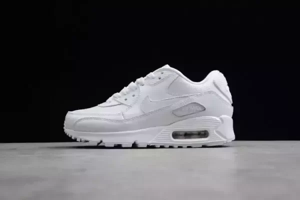 Producto - Air Max 90 - 20