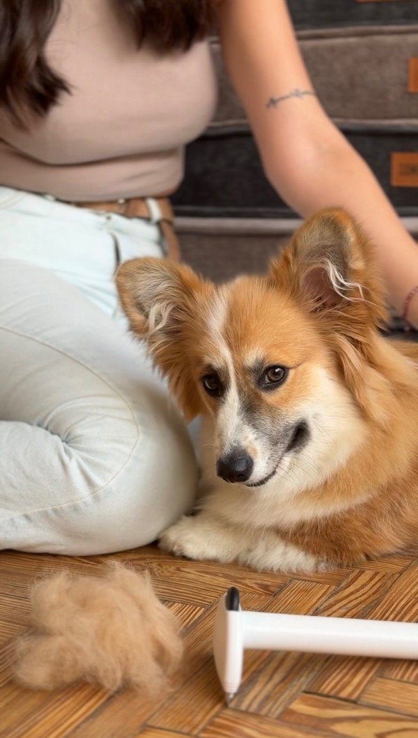 Producto - Cepillo quita pelo tipo rastrillo