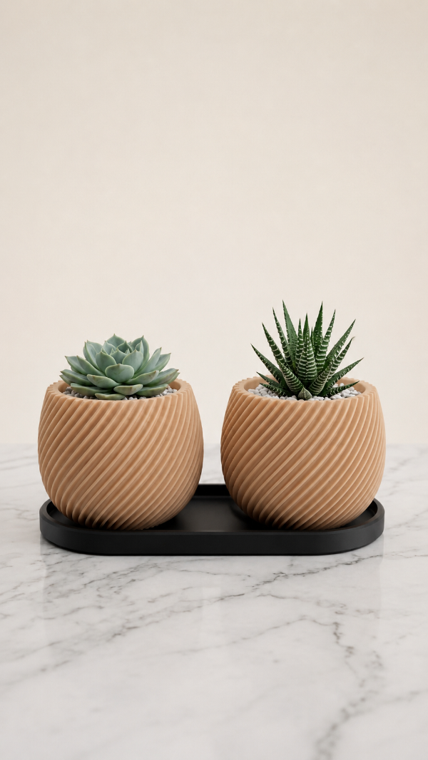 Producto - Set Macetas Gemelas con Bandeja - Ideal Cactus y Suculentas - 10