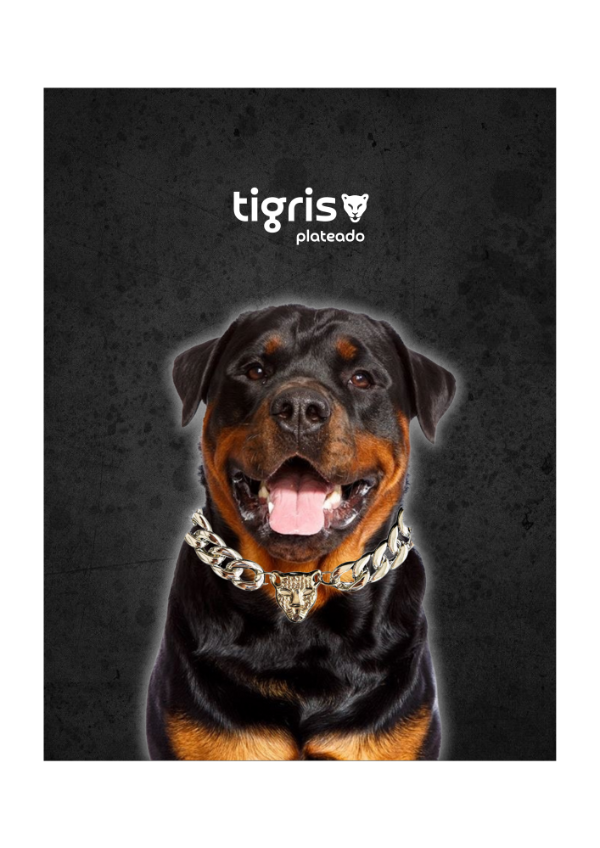 Producto - Tigris Plateado