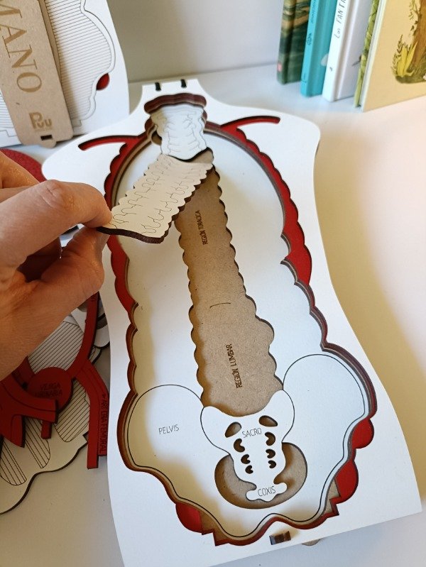 Miniatura de producto - 3