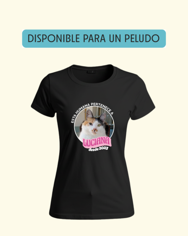 Producto - Modo posesión - DAMA