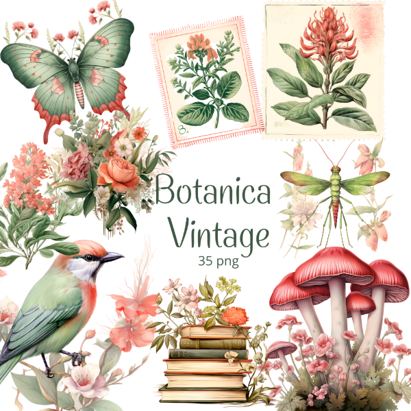 Producto - Botánica Vintage - Imágenes PNG - RET22