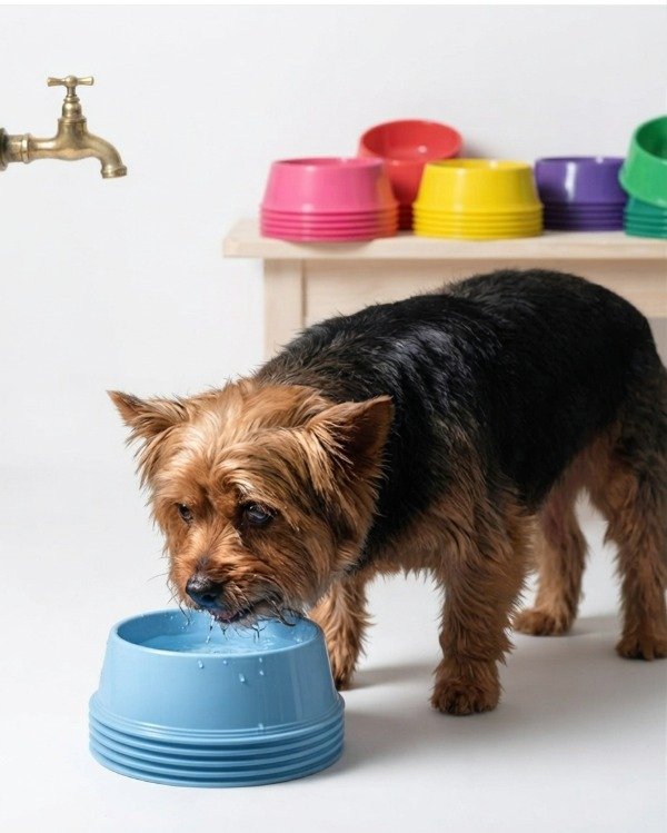 Producto - Comedero Bebedero Para Perros Pequeños varios colores base 16 cm - 0