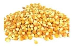 Producto - Maíz Pisingallo de Exportación (Premium) - 5 kg