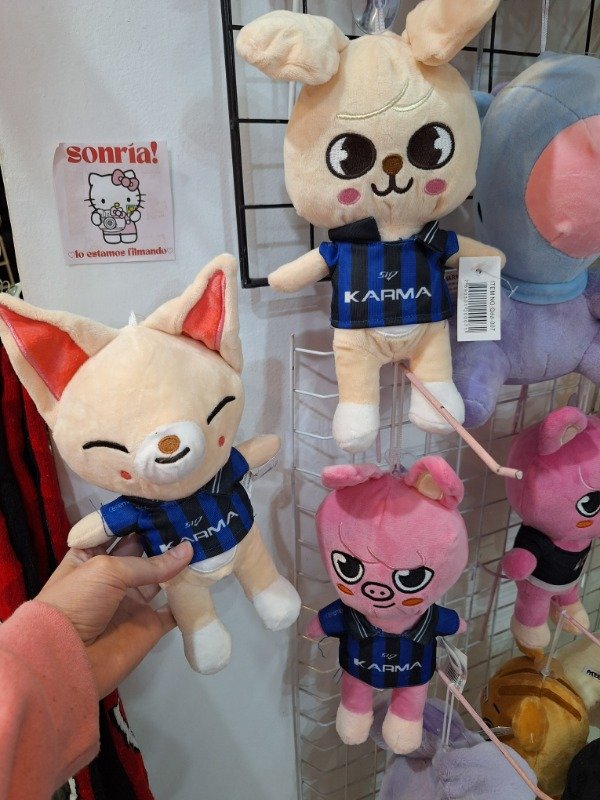 Producto - Peluche stray kids skzoo karma - 0
