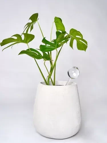 Producto - GOTA AUTORRIEGO GRANDE x 2